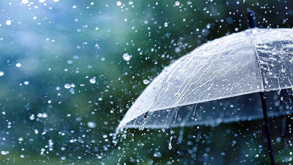 ছবি সংগ্রহ